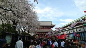 Asakusa Nakamisetori.jpg