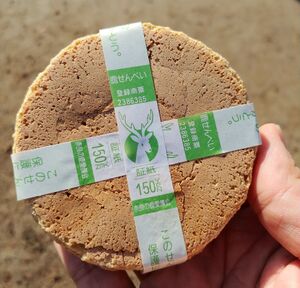 Nara sika senbei.jpg