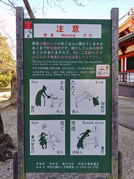파일:Nara deer warning.jpg
