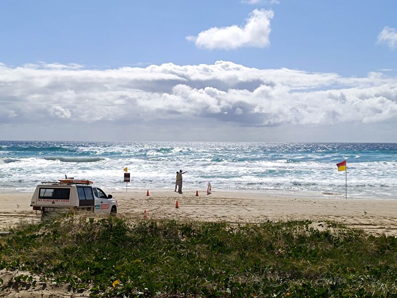 파일:Gold coast beach with lifeguard.jpg