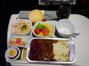 In flight meal premium economy class lufthansa beef stew.jpg