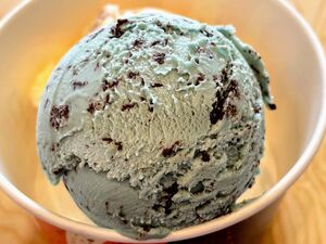 Mint choco chip icecream baskin robbins.jpg