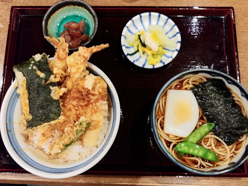 파일:Soba and tendon.jpg